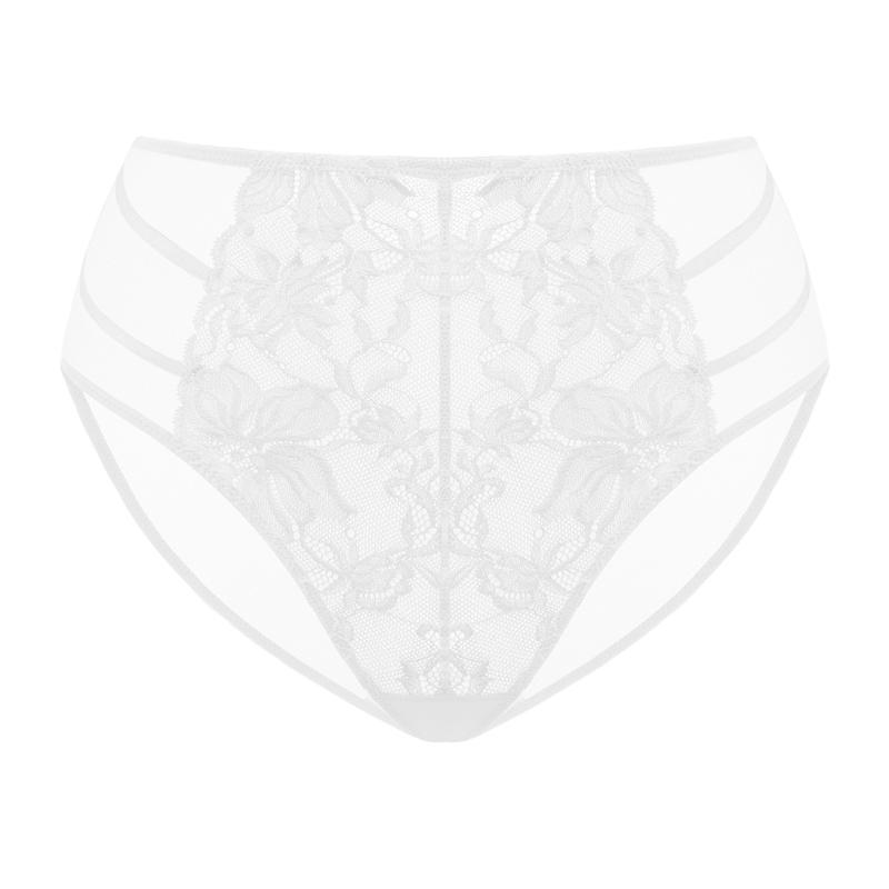 HSIA Pretty In Petals Floral Lace Sheer Mesh Back Underwear High-Rise Brief Matching Panty