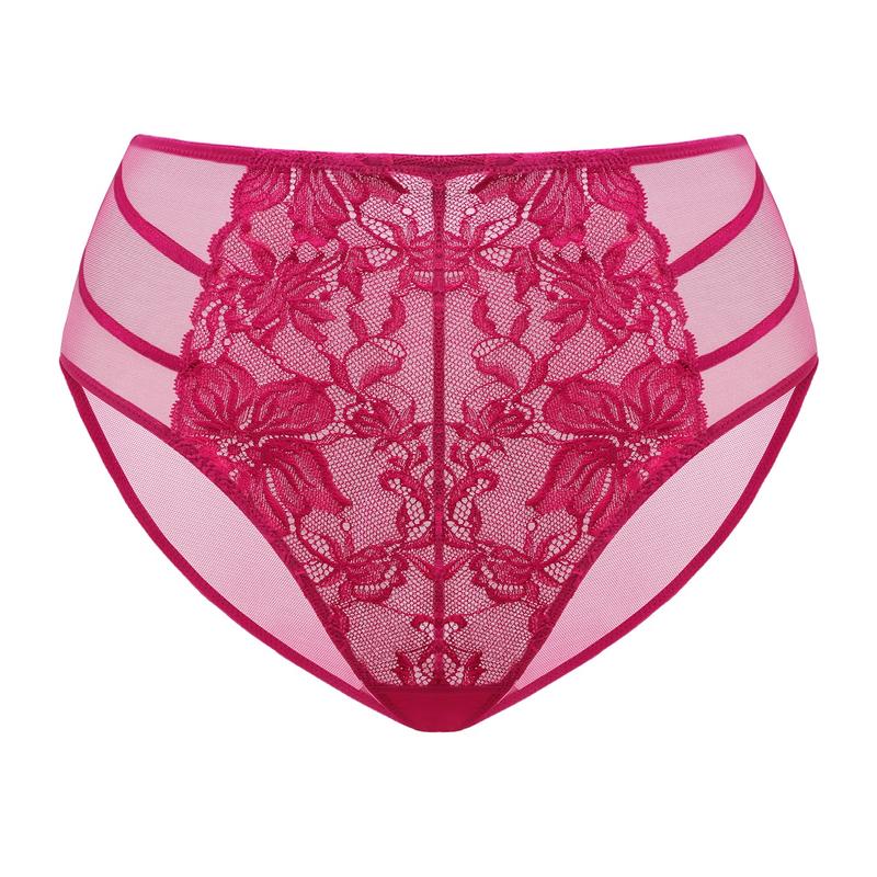 HSIA Pretty In Petals Floral Lace Sheer Mesh Back Underwear High-Rise Brief Matching Panty