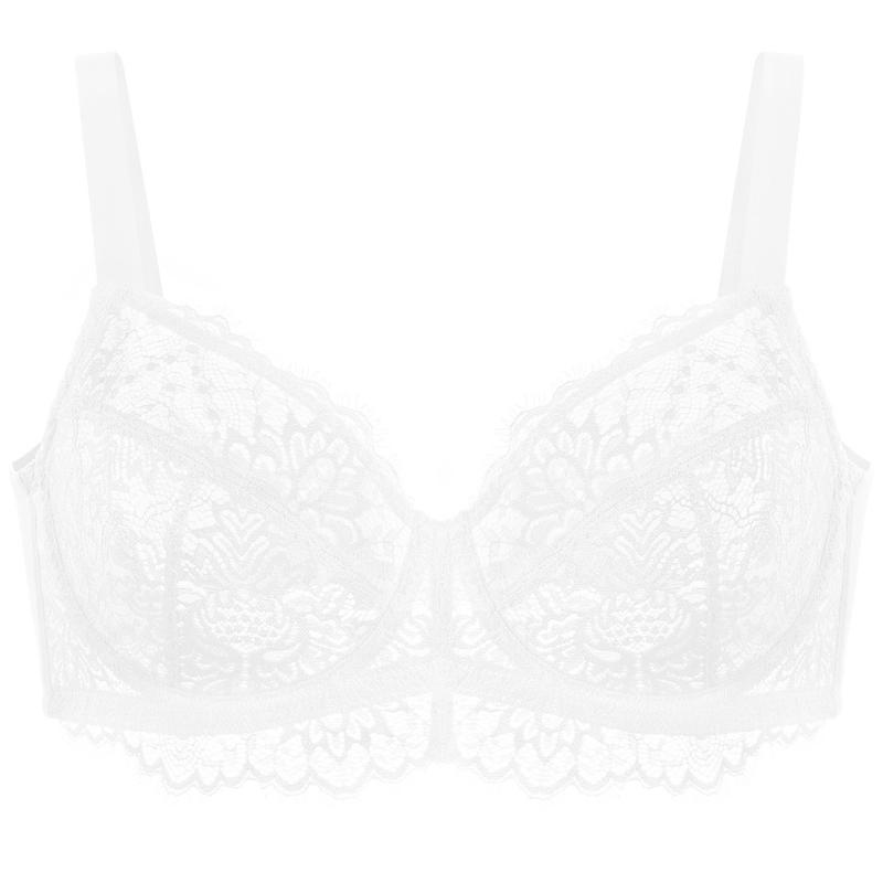 Live Only HSIA Sunflower Floral Lace Unlined Unpadded Breathable Comfort Women Plus Size Underwire Bra