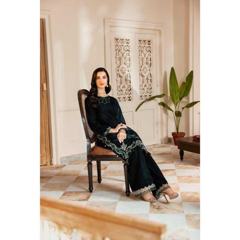 AIN Luxury Velvet Collection ALV4 Women Dress Pakistani Designer