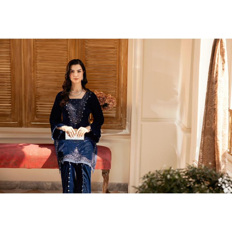 AIN Luxury Velvet Collection ALV3 Women Dress Pakistani Designer