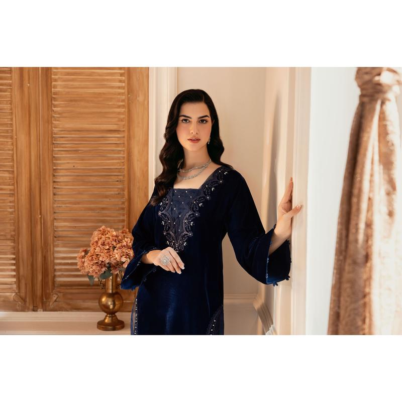 AIN Luxury Velvet Collection ALV3 Women Dress Pakistani Designer