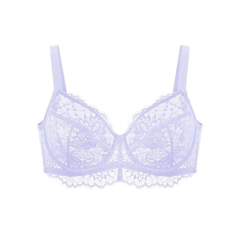 HSIA Sunflower Floral Lace Unlined Sexy Plus Size Underwire Full Coverage Bra