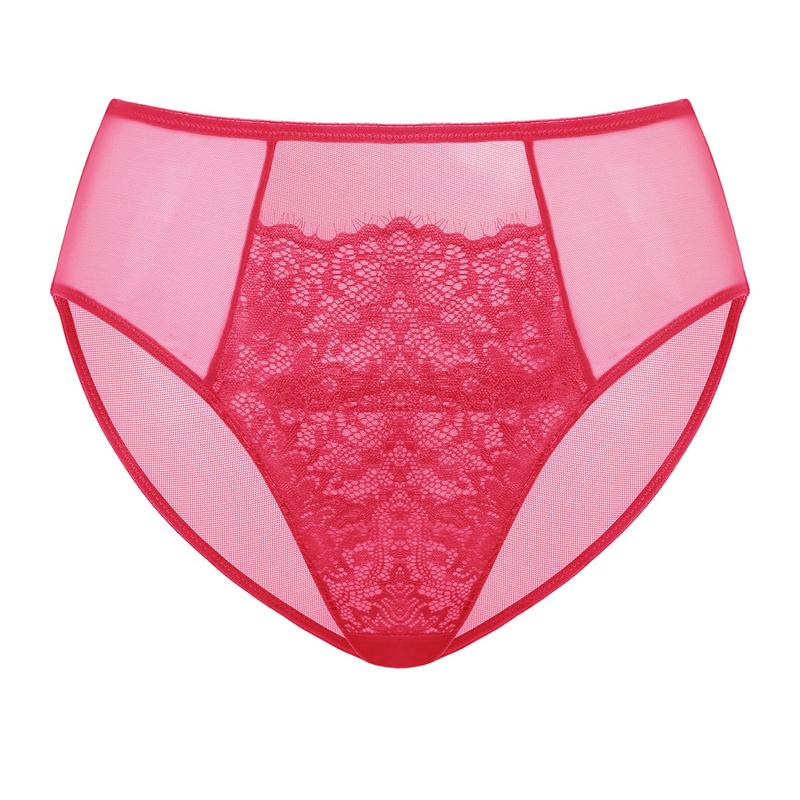 Live Exclusive HSIA Sunflower Floral Lace Sheer Mesh Back Bikini Underwear High-Rise Brief Matching Panty